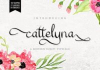 Cattelyna Font - Featured Image