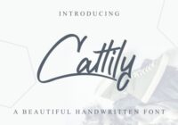 Cattily Font - Featured Image