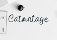 Catvintage Font - Featured Image