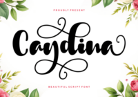 Caydina Font - Featured Image