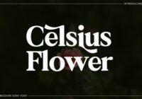 Celsius Flower Font - Featured Image