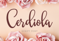 Cerdiola Font - Featured Image