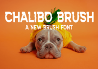 Chalibo Brush Font - Featured Image