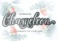 Chameleon Script Font - Featured Image