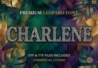 Charlene Font - Featured Image