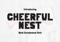 Cheerful Nest Font - Featured Image