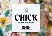 Chick Font - Featured Image