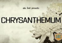 Chrysanthemum Font - Featured Image