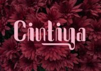 Cintiya Font - Featured Image