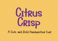 Citrus Crisp Font Font - Featured Image