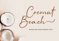 Coconut Beach Font - Featured Image