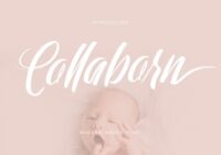 Collaborn Script Font - Featured Image