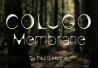 Colugo Membrane Font - Featured Image