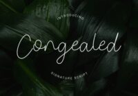 Congealed Font - Featured Image