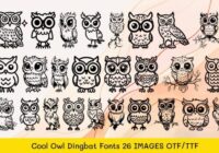 Cool Owl Font - Featured Image
