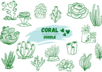 Coral Doodle Font - Featured Image