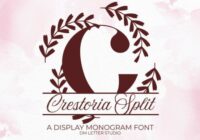 Crestoria Split Monogram Font - Featured Image