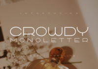 Crowdy Monoletter Font - Featured Image