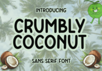Crumbly Coconut Font - Featured Image