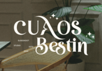 Cuaos Bestin Font - Featured Image
