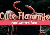 Cute Flamingo Font - Featured Image