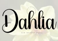 Dahlia Font - Featured Image