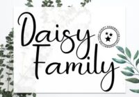 Daisy Family Font - Featured Image