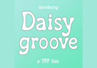 Daisy Groove Font - Featured Image