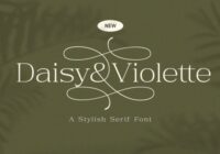 Daisy & Violette - Stylish Modern Serif Font - Featured Image