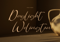 Daylight Welington Font - Featured Image