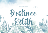 Destinee Edith Font - Featured Image