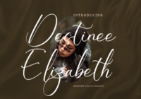 Destinee Elizabeth Font - Featured Image
