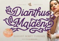 Dianthus Maiden Font - Featured Image
