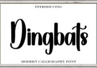 Dingbats Font - Featured Image
