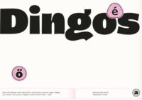 Dingos Font - Featured Image