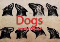 Dogs Font - Featured Image