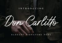 Don Carlitto Font - Featured Image