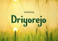 Driyorejo Font - Featured Image