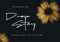 Drop Stay Font - Featured Image