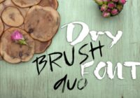 Dry Brush Duo Font - Featured Image