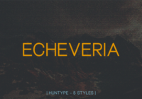 Echeveria Font - Featured Image