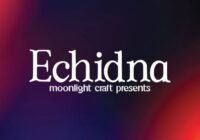 Echidna Font - Featured Image