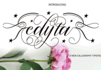 Edyta Font - Featured Image