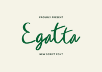 Egatta Font - Featured Image
