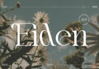 Eiden Font - Featured Image