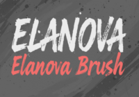Elanova Brush Font - Featured Image