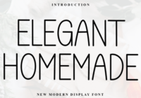 Elegant Homemade Font - Featured Image