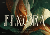 Elnora Font - Featured Image