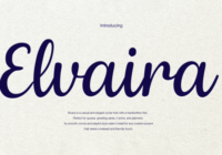 Elvaira Font - Featured Image