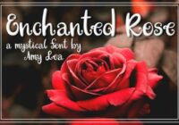 Enchanted Rose Font - Featured Image
